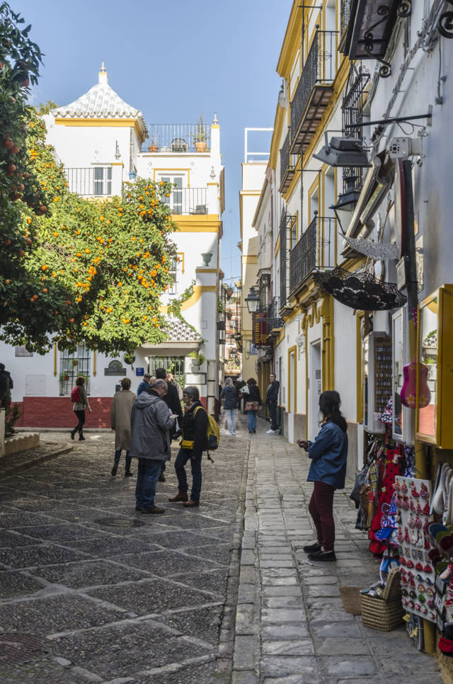 Sevilla 241 - plaza de Santa Cruz.jpg